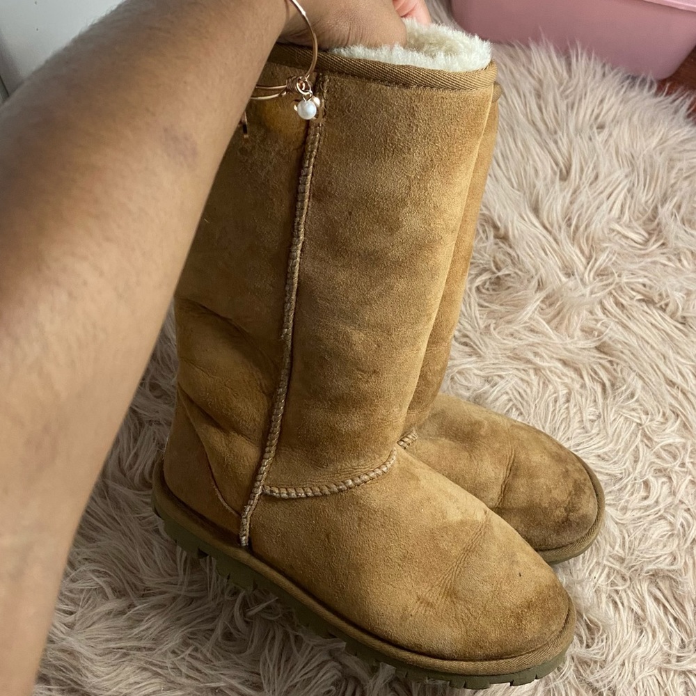 Tall Chestnut Uggs